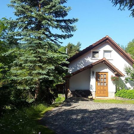 Ferienhaus "Am Schleifenbach" Saalfeld Saale Экстерьер фото