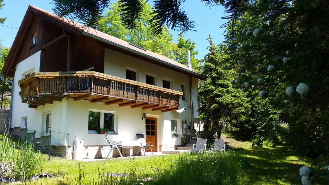 Ferienhaus "Am Schleifenbach" Saalfeld Saale Экстерьер фото