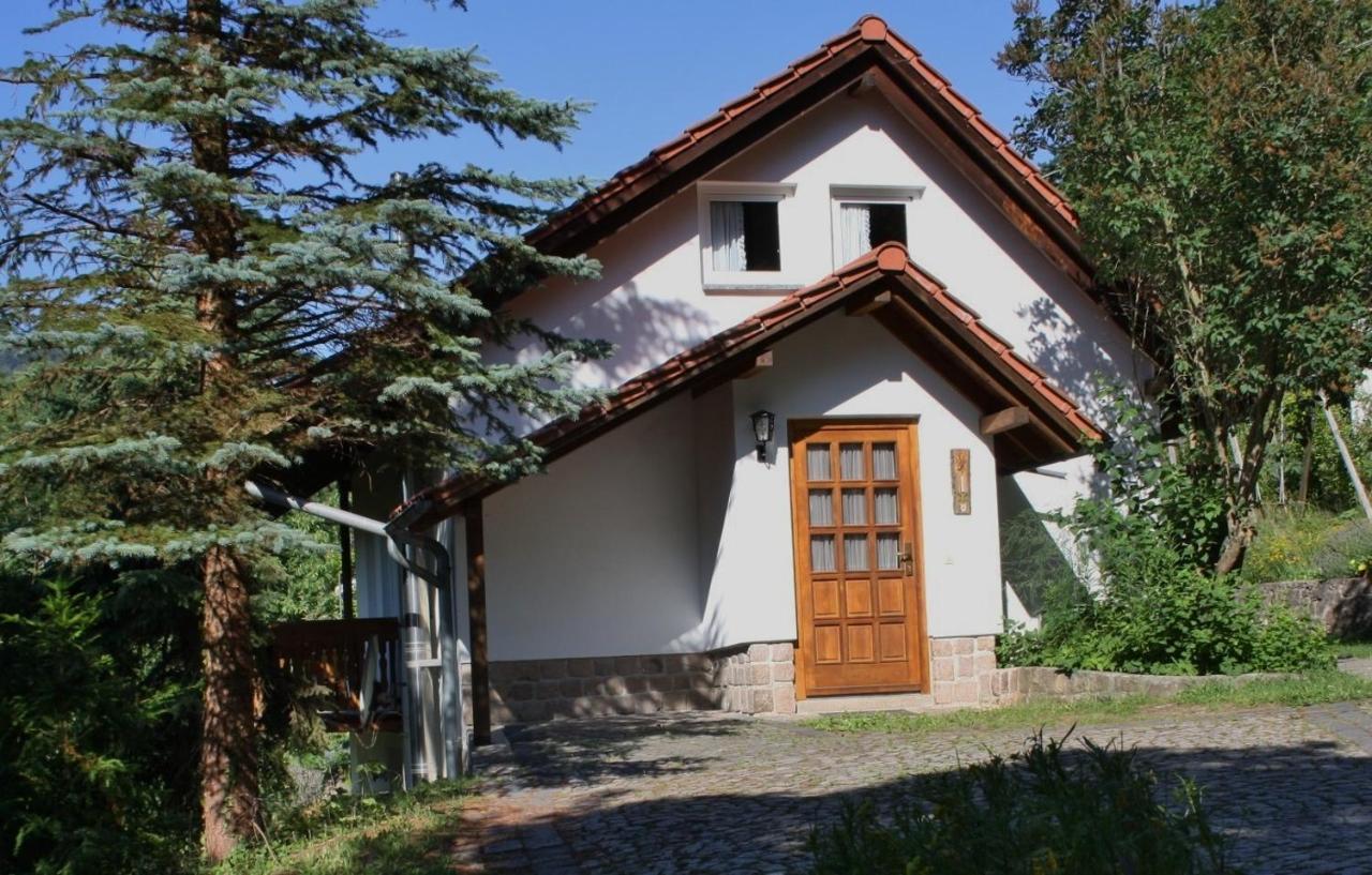 Ferienhaus "Am Schleifenbach" Saalfeld Saale Экстерьер фото