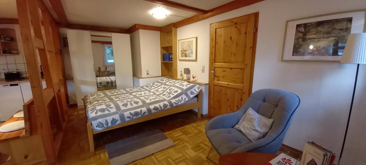Ferienhaus "Am Schleifenbach" Saalfeld Saale Экстерьер фото