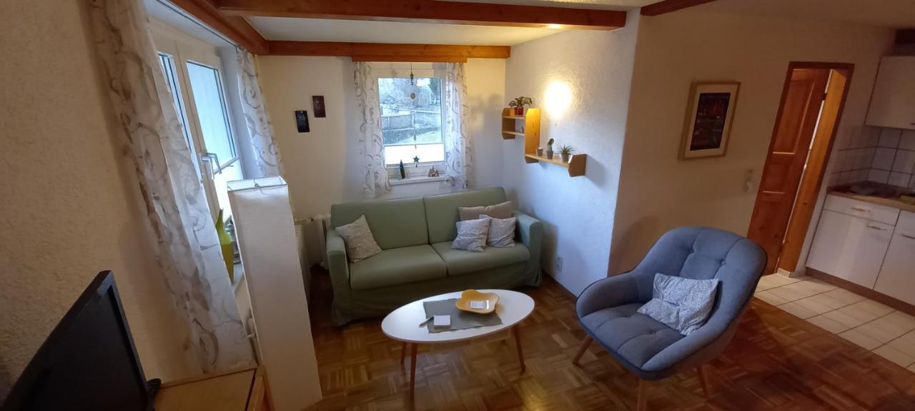 Ferienhaus "Am Schleifenbach" Saalfeld Saale Экстерьер фото