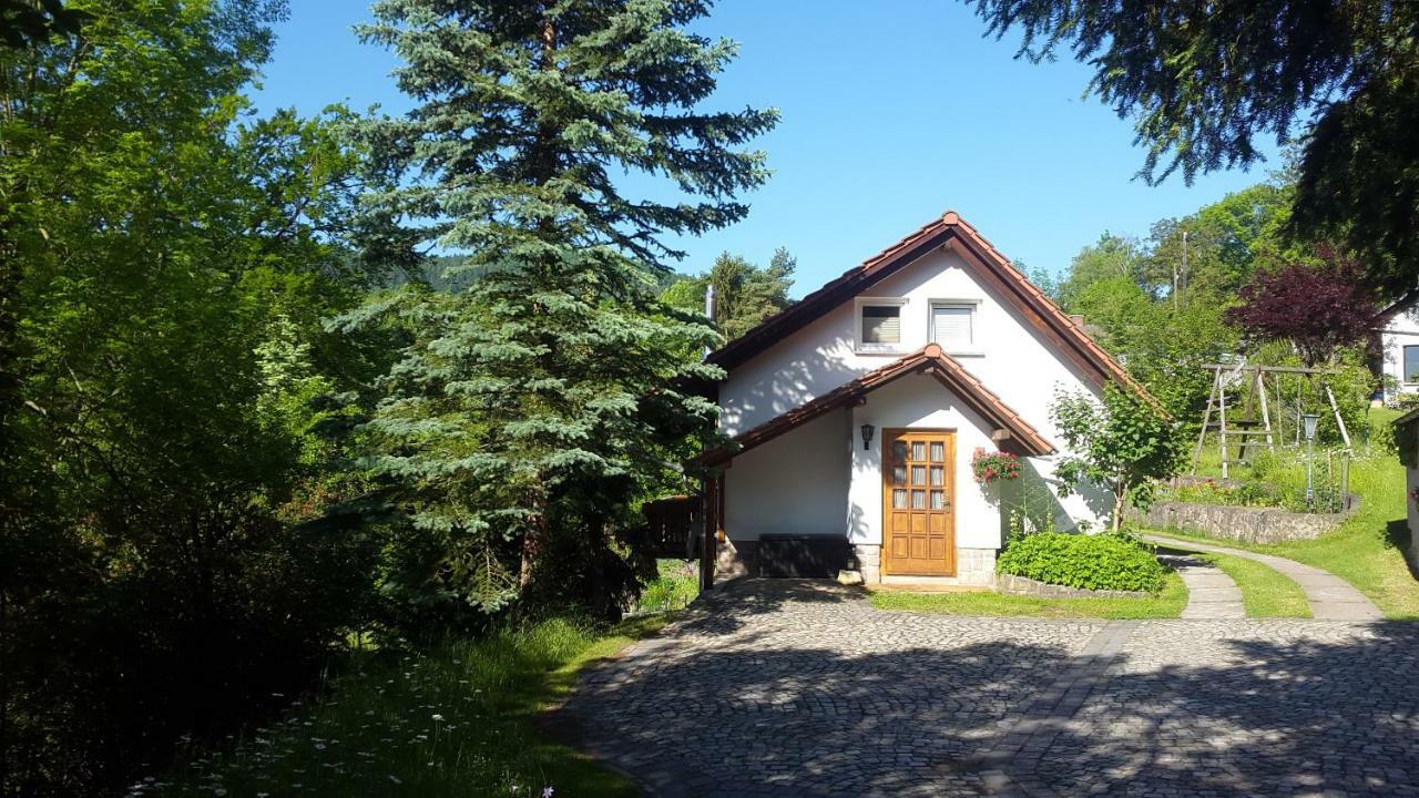 Ferienhaus "Am Schleifenbach" Saalfeld Saale Экстерьер фото